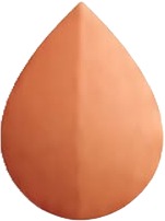 a pair of bronze colored earrings.jpg